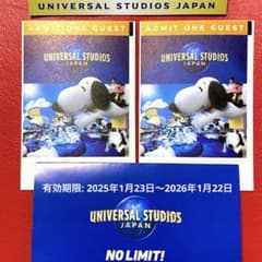 ユニバーサルスタジオジャパン 1dayパス 2枚(大人) ペアチケット USJのサムネイル