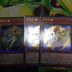 月光彩雛 3枚のサムネイル