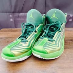 【エアジョーダン Flywire Aero Mania】30cmのサムネイル