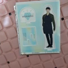 SEVENTEEN セブチ ウォヌ WONWOO アクリルスタンド - メルカリ
