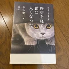 挫折を経て、猫は丸くなった。 書き出し小説名作集のサムネイル
