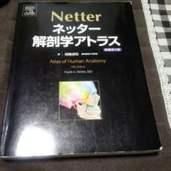 ネッター　解剖学アトラス　原書第５版のサムネイル