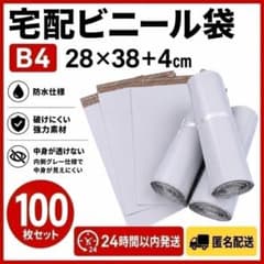宅配ビニール袋 B4 100枚 テープ付き 透けない 防水 梱包袋 白 配送