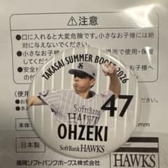 福岡ソフトバンクホークス 大関友久 缶バッジ・ピンバッジ 2点セット