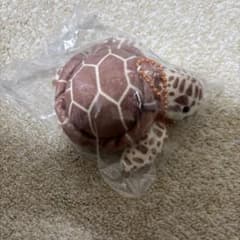 水族館のいきもの ぬいぐるみ ウミガメのサムネイル