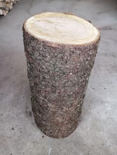 山桜　丸太【直径２０Ｃｍ　高さ４０Ｃｍ】のサムネイル