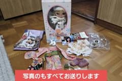 m*a様 ネオブライス　スペリオールスケート(本体+服)　写真のもすべてお送りしのサムネイル