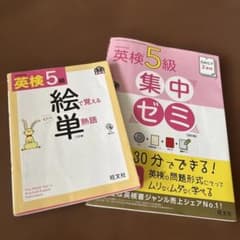 英検5級 参考書 2冊セット 絵で覚える 集中ゼミ - メルカリ