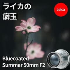 ライカの癖玉！Leica Blue coated Summar 50mm F2 - メルカリ