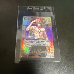 T*E様 ワンピースカードゲーム ポートガス・D・エースレッドコミパラ観賞用展示