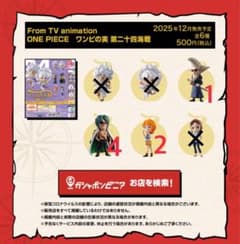 ワンピの実　まとめ売りのサムネイル
