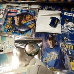 達也様専用内川選手セットのサムネイル