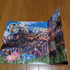 Jellyfish BELLYBUTTON z-fold promo LP - メルカリ