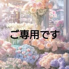 美品 FOUR SIS & CO. フォーシス Vカットビスチェ D70/70 - メルカリ