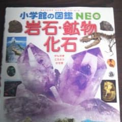 らいおん様専用  岩石・鉱物・化石のサムネイル