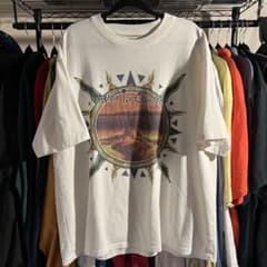 90's〜 "ALICE IN CHAINS" 「DIRT」 tシャツのサムネイル