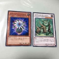エノモンド様専用のサムネイル