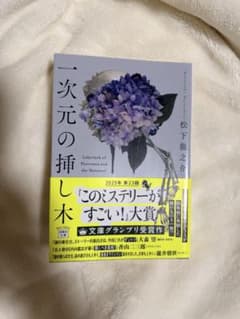 一次元の挿し木 松下龍之介 きれいな状態です。のサムネイル