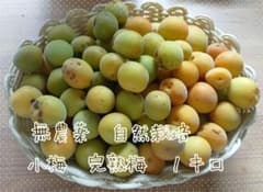 完熟梅 小梅 １キロ 無農薬栽培 自然栽培のサムネイル