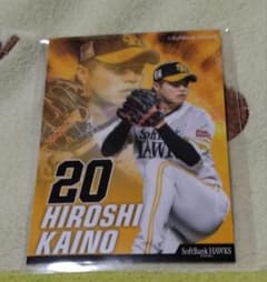未開封】福岡ソフトバンクホークス 甲斐野央選手カード - メルカリ