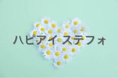 【専用】ステフォ 吉澤閑也のサムネイル