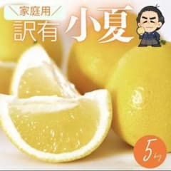 初夏の味覚！高知特産 土佐小夏 約5kg サイズお任せ／果汁たっぷりで爽やかのサムネイル