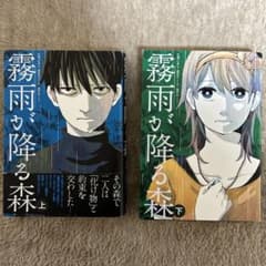 霧雨が降る森上下 小説のサムネイル