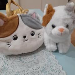 AMUSE 외출 냥코 가방 세트 봉제 인형