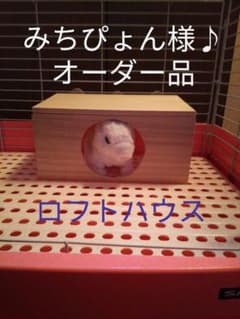みちぴょん様♪専用ロフトハウスのサムネイル
