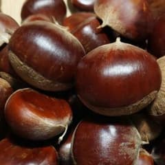 ぽろたん・生栗・1261g・無農薬のサムネイル