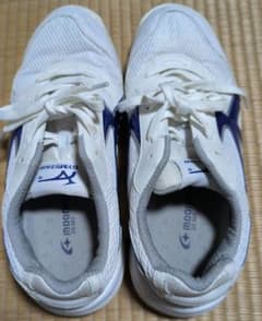 MoonStar GYMSTAR 体育館シューズ 25.5cmのサムネイル