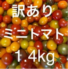 訳ありミニトマト無農薬1.4kg 赤　黄　黒のサムネイル