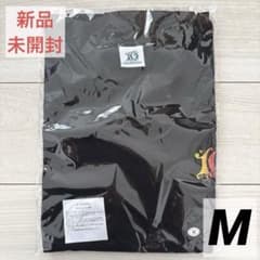 [신품] Mrs. GREEN APPLE FJORD 피요르드 티셔츠 M