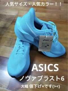 ASICS ノヴァブラスト6 ( 28.5cm )のサムネイル