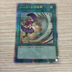 ハーピィの羽根帚 絵違い 25th - メルカリ