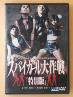 サ*ス様 希少セル版DVD【スパイガール大作戦 特別版】森下千里 名波