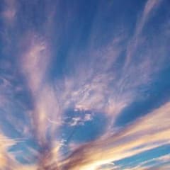 nanaumi様専用のサムネイル