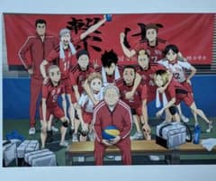 하이큐 쓰레기 버림장의 결전 제2탄 입장자 특전 음 고마 고교 집합 사진