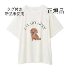ジェラートピケ　DOG柄ワンポイントTシャツ＆DOG柄ロングパンツ　ダックス gelato pique DOG柄ワンポイントTシャツ&DOG柄ロングパンツ SET