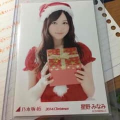星野みなみ 2014 サンタのサムネイル