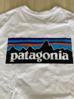 値下げパタゴニアTシャツのサムネイル