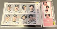 中野拓夢 シークレット 証明写真風ステッカーと選手フォトグレイセットのサムネイル