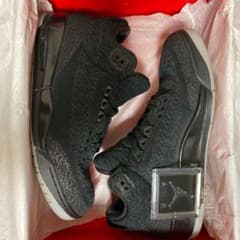 air jordan 3 flyknit  ナイキ　ジョーダンのサムネイル
