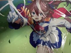 はやて様 リクエスト 2点 まとめ商品のサムネイル