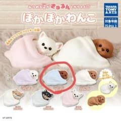 ぽかぽかわんこ トイプードル　レッドのサムネイル