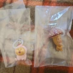 こびとづかん めじるしフレンズ 2種セット　カクレモモジリ　ベニキノコビトのサムネイル