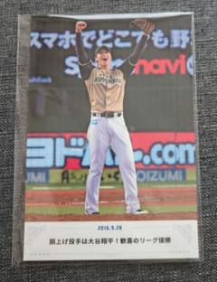 大谷翔平　メモリアルフォトカードのサムネイル