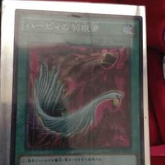 ハーピィーの羽根箒のサムネイル