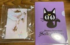Pretty Guardian Sailor Moon Silhouette Necklace A6 Clear File