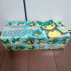 美品】スペシャルBOX レックウザポンチョを着たピカチュウ ストレージ